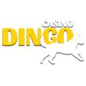 casino dingo|Iba pa.